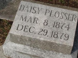 Daisy Plosser