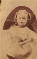 Daisy Plosser