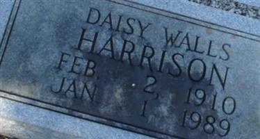 Daisy Walls Harrison