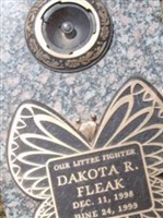 Dakota R. Fleak Dakota R. Fleak
