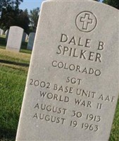 Dale B Spilker