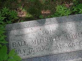 Dale Mitchell Towle