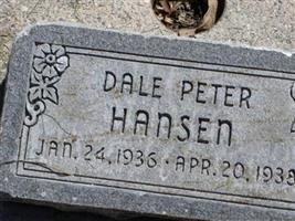 Dale Peter Hansen