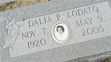 Dalia P Lodato