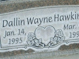 Dallin Wayne Hawkins Dallin Wayne Hawkins
