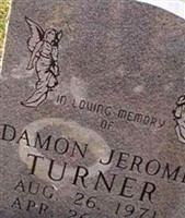 Damon Jerome Turner Damon Jerome Turner