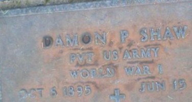 Damon P Shaw