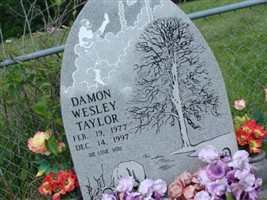 Damon Wesley Taylor