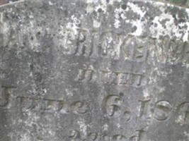 Dan Crickenberger