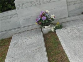 Danie Stanfill Bateman Danie Stanfill Bateman