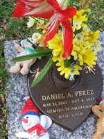 Daniel A Perez