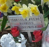 Daniel Alfredo Morales Rodriguez