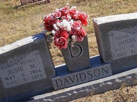 Daniel B Davidson