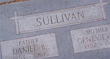 Daniel B Sullivan