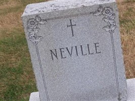 Daniel C Neville