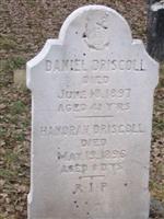 Daniel Driscoll