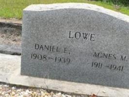 Daniel E. Lowe