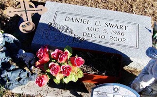 Daniel E. Swart Daniel E. Swart
