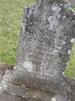 Daniel Fuller