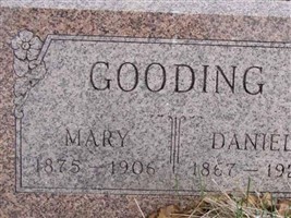 Daniel Gooding Daniel Gooding