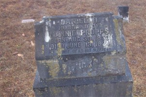 Daniel Harpole Propps Daniel Harpole Propps