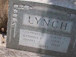 Daniel J Lynch Daniel J Lynch