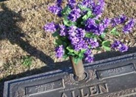 Daniel M. Allen Daniel M. Allen