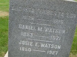 Daniel M Watson