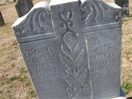 Daniel Marshall Cope Daniel Marshall Cope