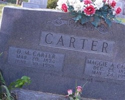 Daniel Melanchthon Carter Daniel Melanchthon Carter