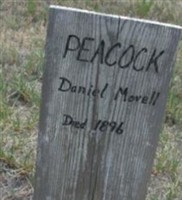 Daniel Movell Peacock