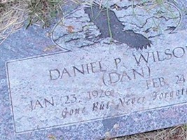 Daniel P "Dan" Wilson