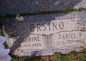 Daniel P Orsino