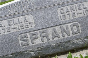 Daniel P Sprang Daniel P Sprang