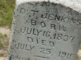 Daniel Twiggs Jenkins, Sr