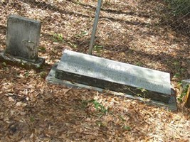 Daniel Webster Syfrett Daniel Webster Syfrett