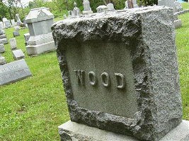 Daniel Webster Wood Daniel Webster Wood