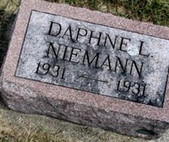 Daphine L Niemann