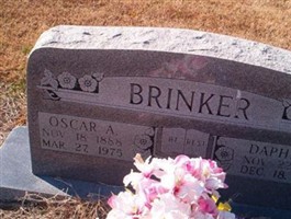Daphne Delilah Points Brinker Daphne Delilah Points Brinker