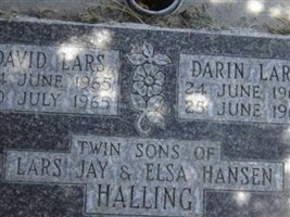 Darin Lars Halling Darin Lars Halling