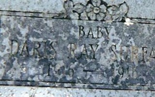 Daris Ray Surface