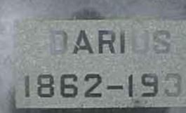 Darius Salisbury