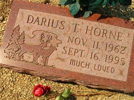 Darius T Horne