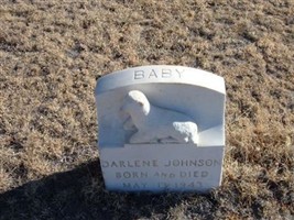 Darlene Johnson Darlene Johnson