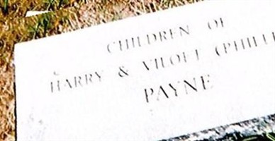 Darlene Oakley Payne Darlene Oakley Payne