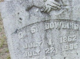 Darling Sogent Dowling