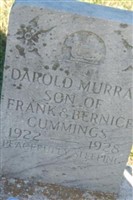 Darold Murray Cummings Darold Murray Cummings