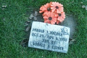 Darold Terry Kremer Darold Terry Kremer