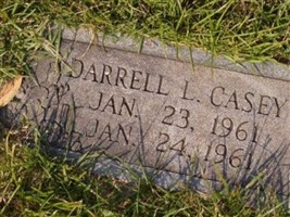 Darrell L Casey