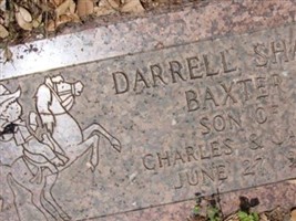 Darrell Shawn Baxter